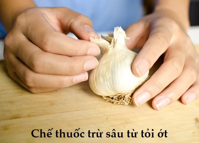 Cach-pha-che-thuoc-sau-huu-co-cho-cay-an-qua-don-gian