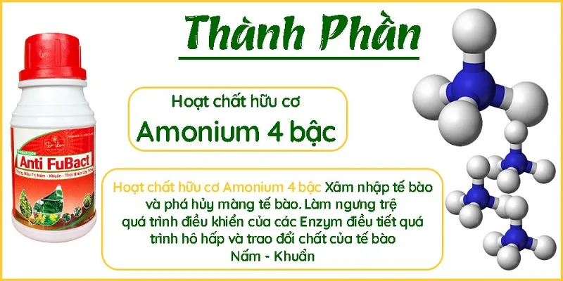 Top-4-cau-hoi-thuong-gap-ve-thuoc-sau-huu-co-cho-cay-an-qua