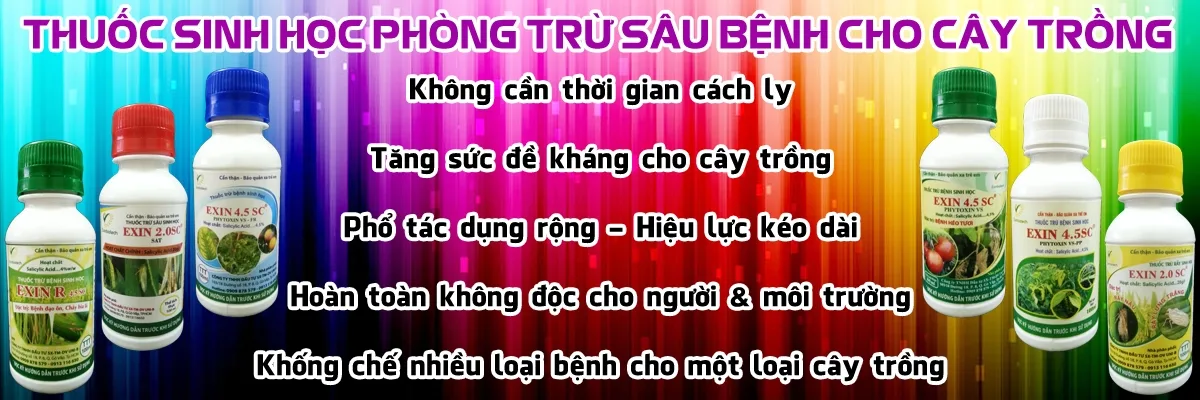 Hieu-qua-lau-dai-cua-thuoc-sau-huu-co-mang-lai-cho-cay-an-qua