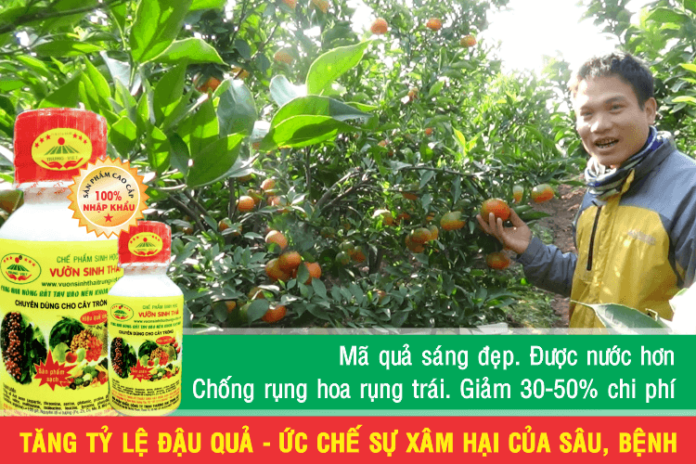 Thuoc-sau-huu-co-cho-loai-cay-co-mui-hieu-qua-cao