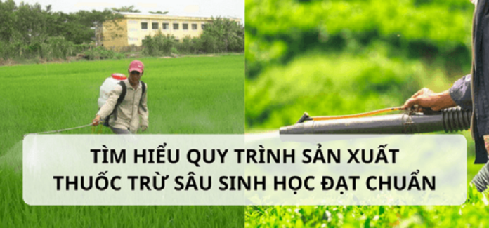 Tim-hieu-quy-trinh-san-xuat-thuoc-sau-huu-co-cho-cay-an-qua