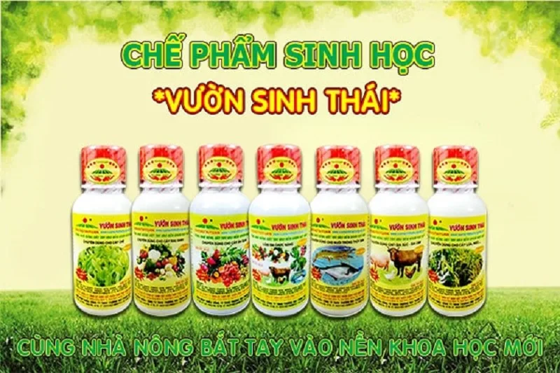 Su-dung-thuoc-sau-huu-co-cho-cay-an-qua-dung-cach