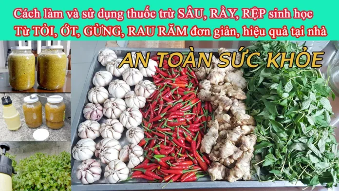 Su-lua-chon-an-toan-cho-gia-dinh-nho-su-dung-thuoc-sau-huu-co-cho-cay-an-qua