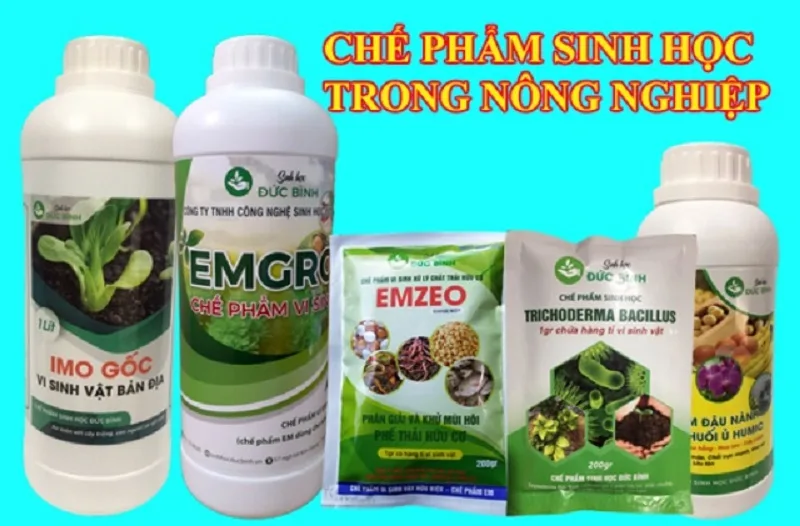 Tang-nang-suat-cay-trong-voi-thuoc-sau-huu-co-cho-cay-an-qua