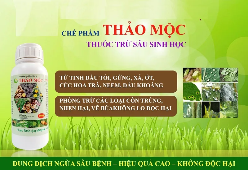 Tat-tan-tat-ve-thuoc-sau-huu-co-cho-cay-hoa-qua