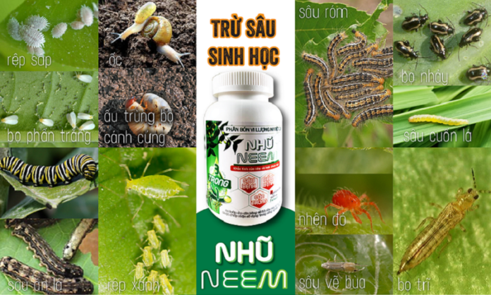 Thuoc-sau-sinh-hoc-cho-cay-an-qua-Lua-chon-thong-minh-cua-nha-nong