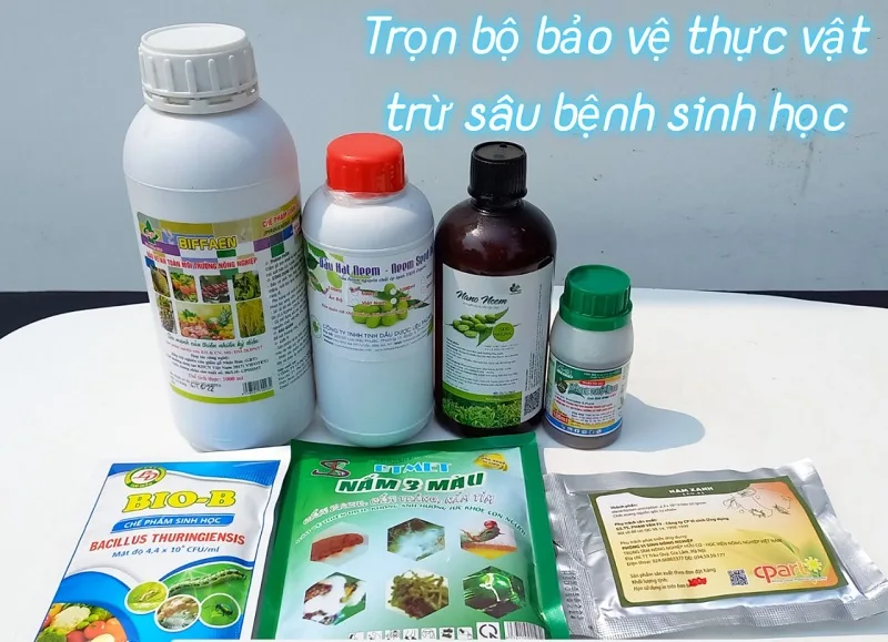 Tat-tan-tat-ve-thuoc-sau-huu-co-cho-cay-hoa-qua