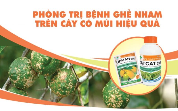 Bao-ve-cay-co-mui-hieu-qua-voi-thuoc-sau-huu-co