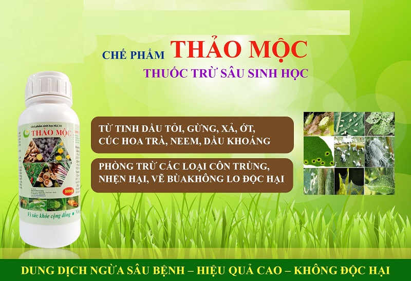 Bat-mi-cach-chon-thuoc-sau-huu-co-cho-cay-co-mui-phu-hop-nhat