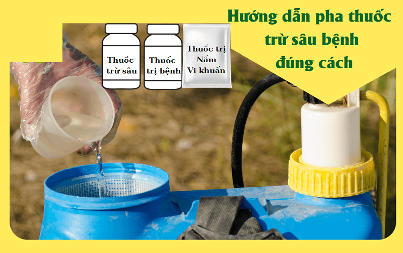 Huong-dan-su-dung-thuoc-sau-huu-co-cho-cay-co-mui-dung-cach