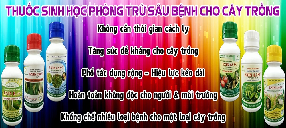 Loai-bo-noi-lo-sau-benh-nho-thuoc-sau-huu-co-cho-cay-co-mui