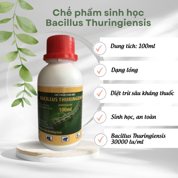 Top-5-loai-thuoc-sau-huu-co-cho-cay-co-mui-duoc-tin-dung-nhat-hien-nay