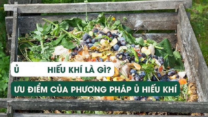 Tim-hieu-quy-trinh-san-xuat-thuoc-sau-huu-co-cho-cay-co-mui