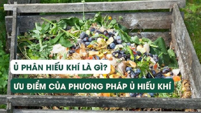 Tim-hieu-quy-trinh-san-xuat-thuoc-sau-huu-co-cho-cay-co-mui