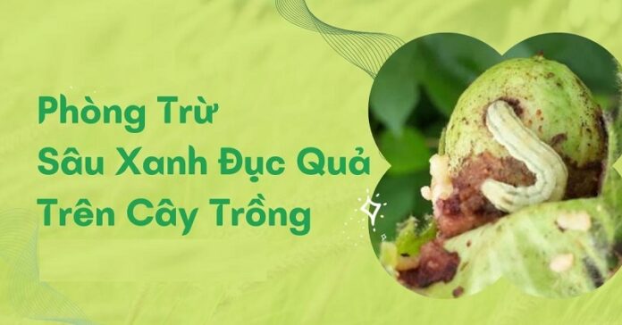 Tac-dung-bat-ngo-cua-thuoc-sau-huu-co-cho-cay-co-mui