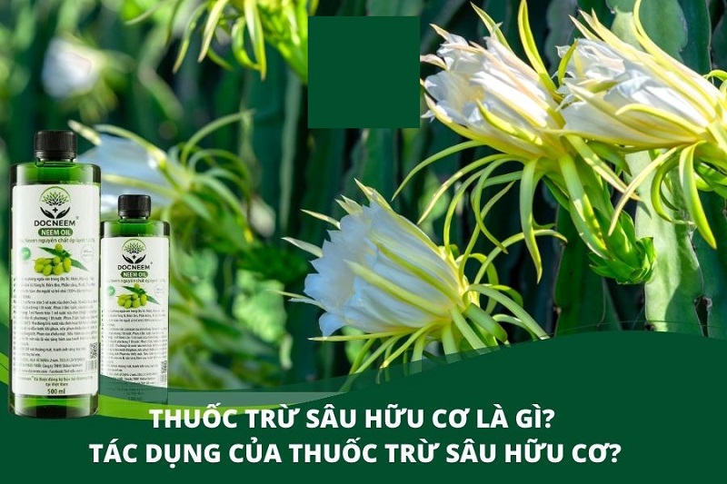 Tiem-nang-phat-trien-Thi-truong-thuoc-sau-huu-co-cho-cay-co-mui