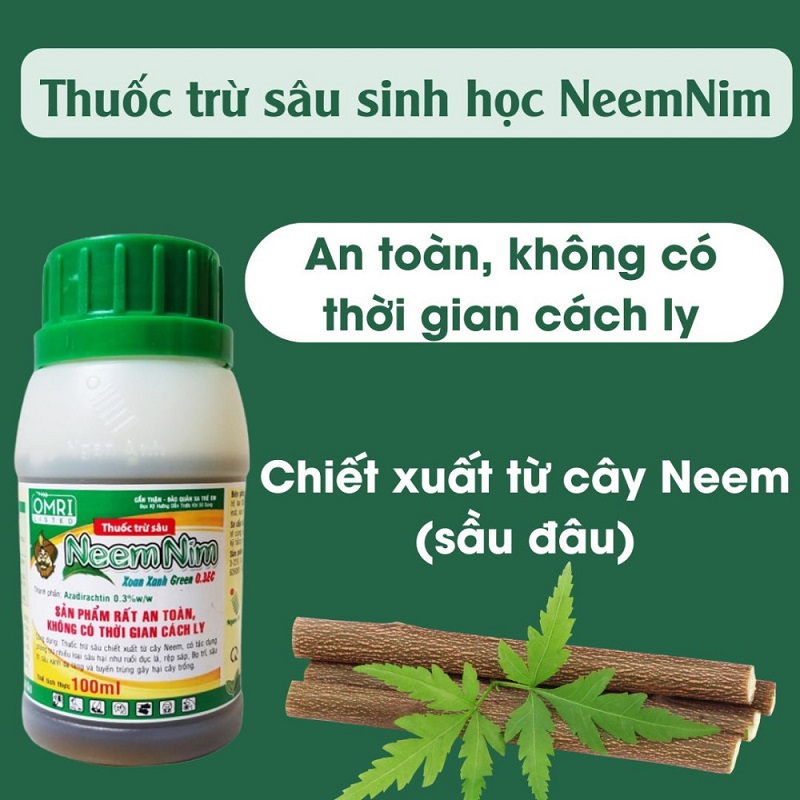 Thuoc-Sau-Huu-Co-Cho-Cay-Rau-Cai-Thia-Giai-Phap-An-Toan