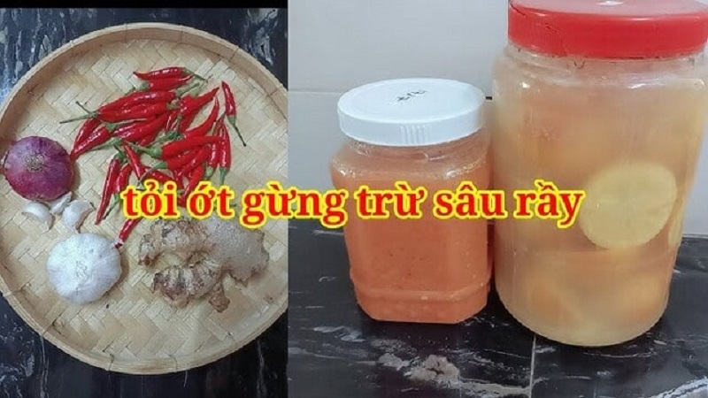 Thuoc-sau-huu-co-cho-cay-rau-kinh-gioi-An-toan-cho-suc-khoe