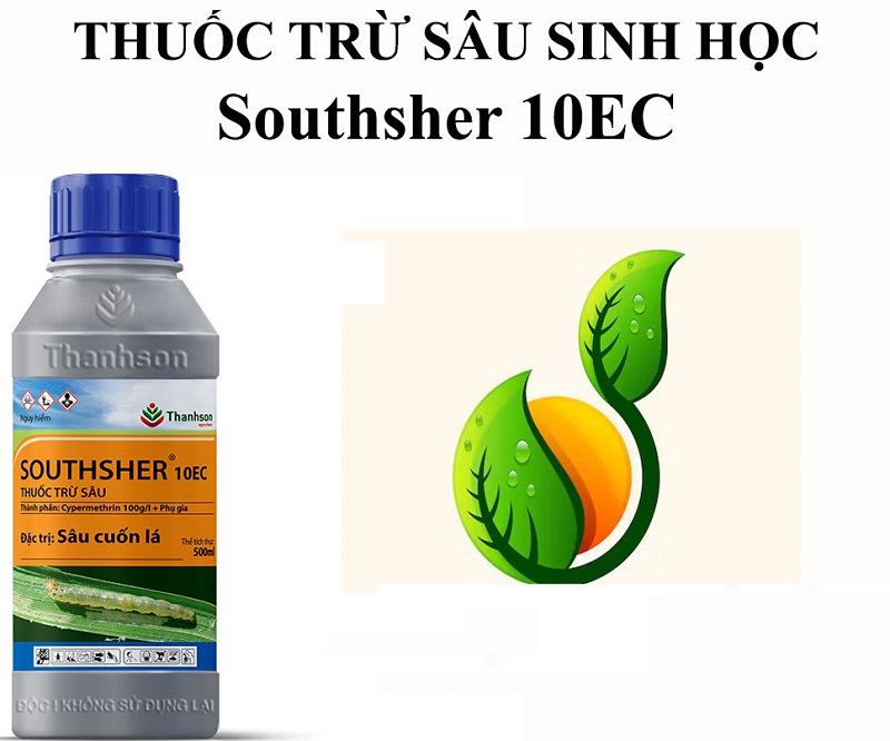 Thuoc-sau-huu-co-cho-cay-rau-cai-cuc-giai-phap-toi-uu