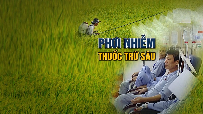 Thuoc-sau-huu-co-cho-cay-rau-Bina-Giai-phap-cho-nong-nghiep-sach