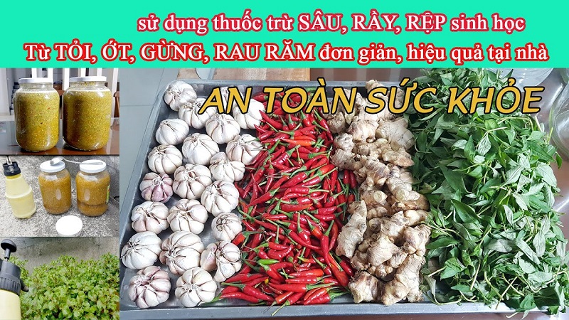 Giai-dap-thac-mac-ve-thuoc-sau-huu-co-cho-rau