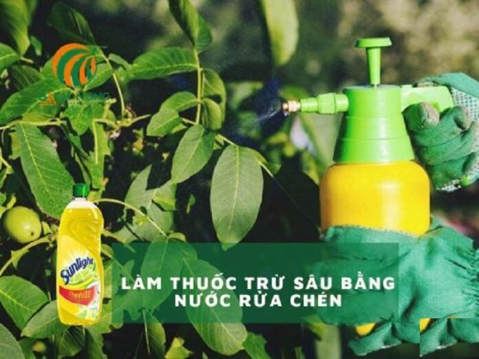 Top-5-loai-thuoc-sau-huu-co-cho-cay-rau-duoc-ua-chuong-nhat