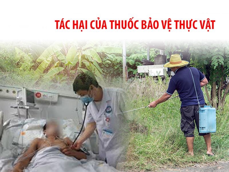 Thuoc-sau-huu-co-cho-Rau-Den-1-So-luu-y-khi-su-dung