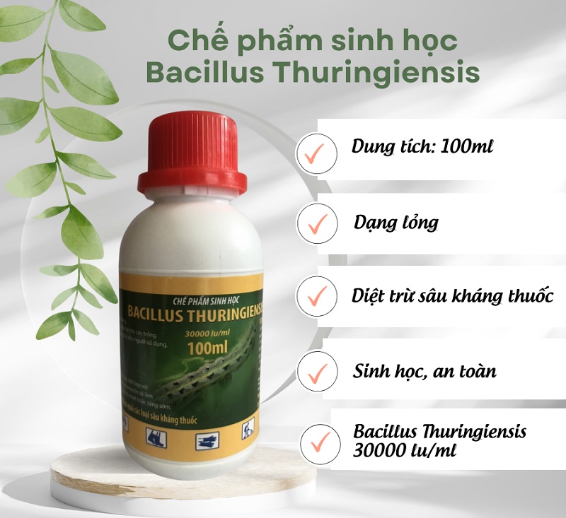 Thuoc-sau-huu-co-cho-Rau-Ngot-An-toan-cho-nguoi-su-dung